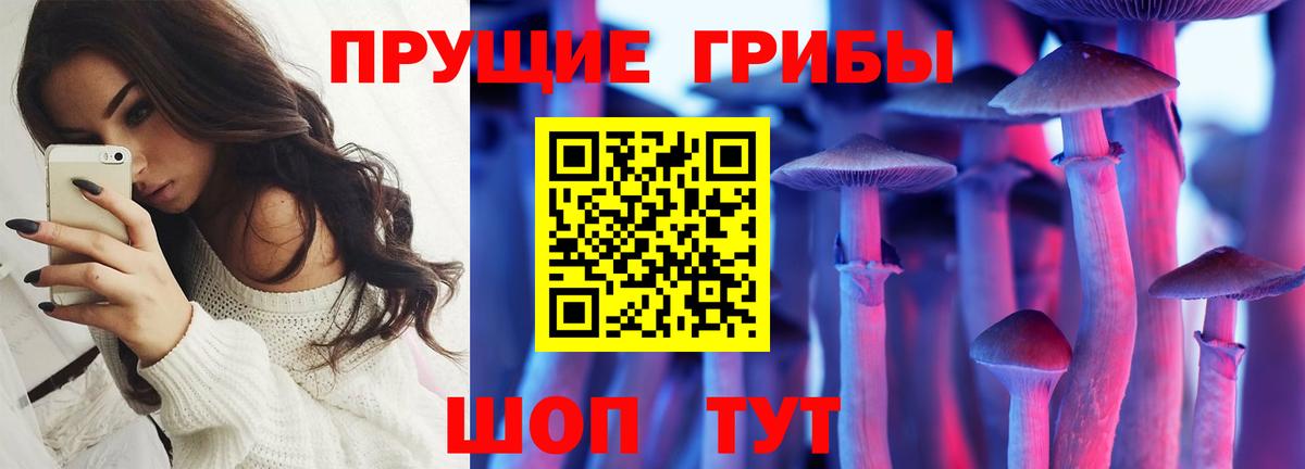 Галлюциногенные грибы мухоморы Владикавказ